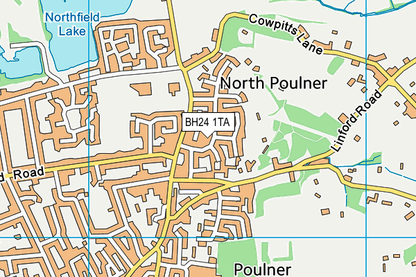 BH24 1TA map - OS VectorMap District (Ordnance Survey)