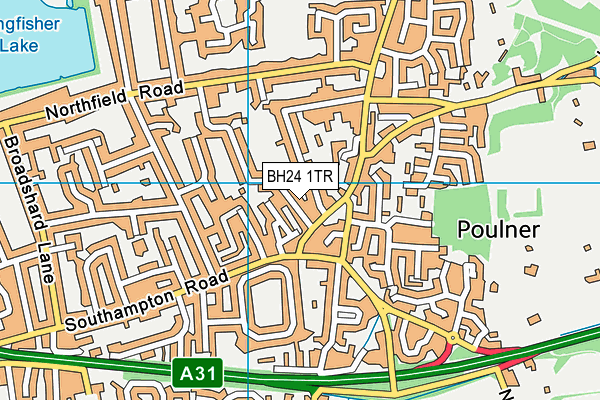 BH24 1TR map - OS VectorMap District (Ordnance Survey) BH24 1TR map - OS VectorMap District (Ordnance Survey)