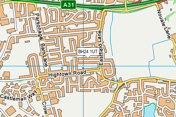 BH24 1UT map - OS VectorMap District (Ordnance Survey) BH24 1UT map - OS VectorMap District (Ordnance Survey)