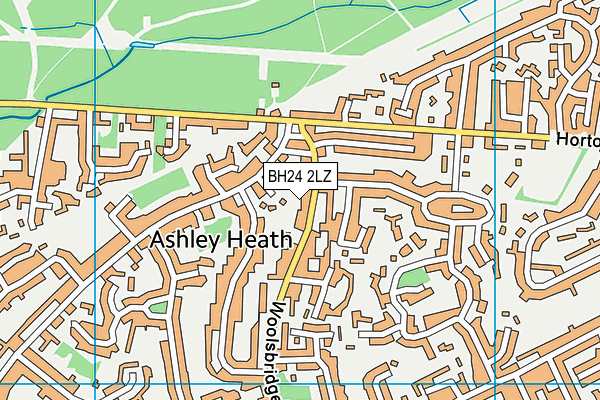 BH24 2LZ map - OS VectorMap District (Ordnance Survey) BH24 2LZ map - OS VectorMap District (Ordnance Survey)