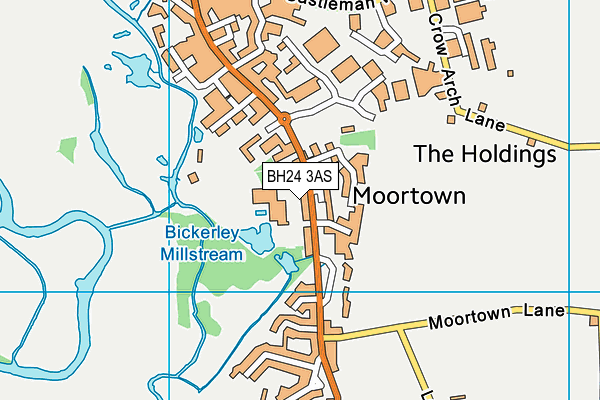BH24 3AS map - OS VectorMap District (Ordnance Survey)