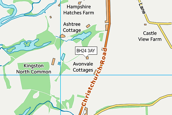 BH24 3AY map - OS VectorMap District (Ordnance Survey) BH24 3AY map - OS VectorMap District (Ordnance Survey)