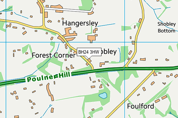 BH24 3HW map - OS VectorMap District (Ordnance Survey) BH24 3HW map - OS VectorMap District (Ordnance Survey)