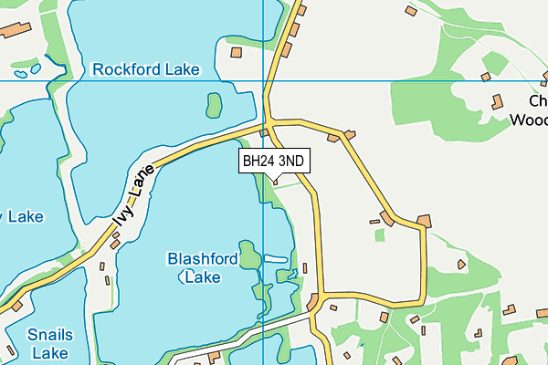 BH24 3ND map - OS VectorMap District (Ordnance Survey) BH24 3ND map - OS VectorMap District (Ordnance Survey)