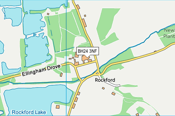 BH24 3NF map - OS VectorMap District (Ordnance Survey) BH24 3NF map - OS VectorMap District (Ordnance Survey)