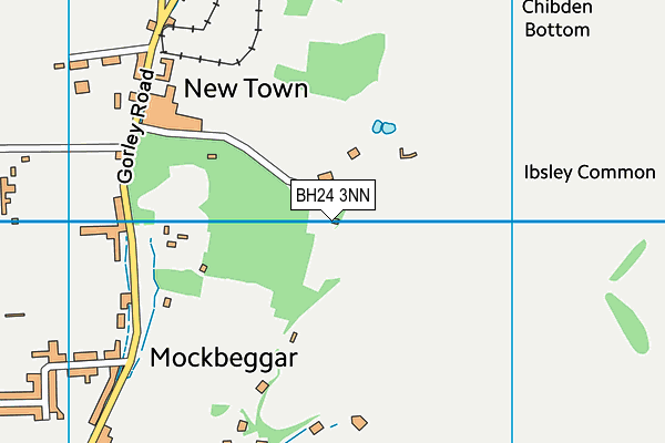 BH24 3NN map - OS VectorMap District (Ordnance Survey) BH24 3NN map - OS VectorMap District (Ordnance Survey)