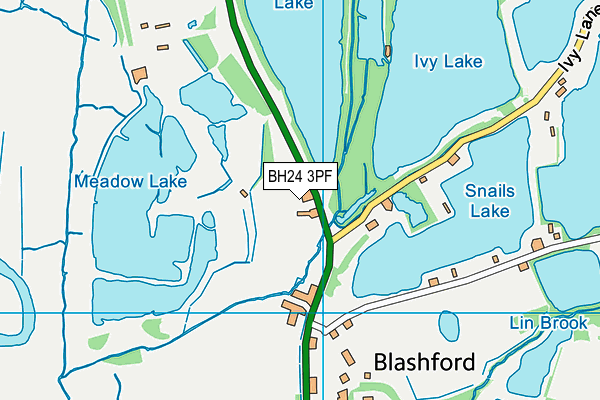 BH24 3PF map - OS VectorMap District (Ordnance Survey) BH24 3PF map - OS VectorMap District (Ordnance Survey)