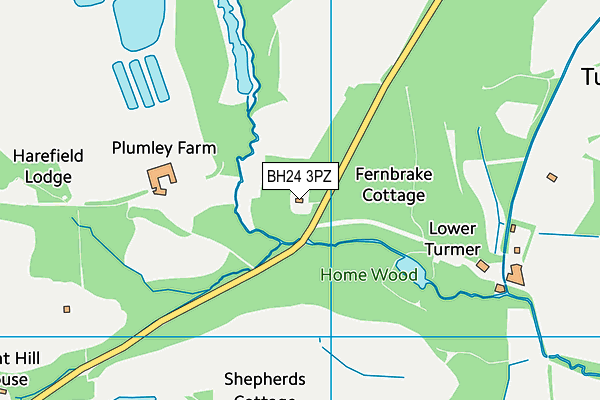 BH24 3PZ map - OS VectorMap District (Ordnance Survey) BH24 3PZ map - OS VectorMap District (Ordnance Survey)