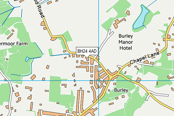 BH24 4AD map - OS VectorMap District (Ordnance Survey) BH24 4AD map - OS VectorMap District (Ordnance Survey)