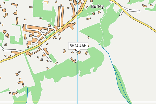 BH24 4AH map - OS VectorMap District (Ordnance Survey) BH24 4AH map - OS VectorMap District (Ordnance Survey)