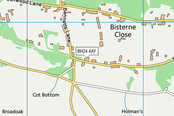 BH24 4AY map - OS VectorMap District (Ordnance Survey) BH24 4AY map - OS VectorMap District (Ordnance Survey)