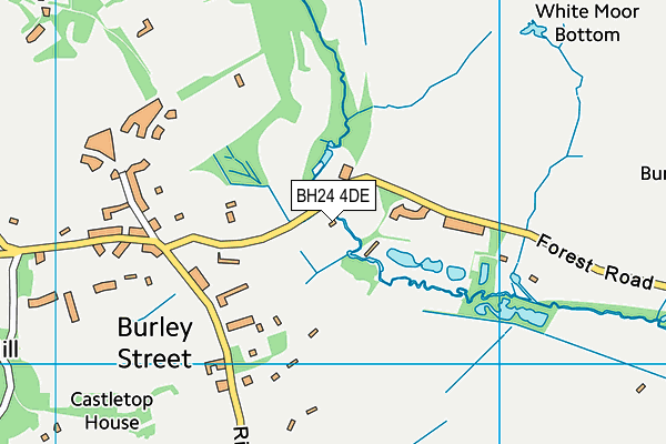 BH24 4DE map - OS VectorMap District (Ordnance Survey) BH24 4DE map - OS VectorMap District (Ordnance Survey)