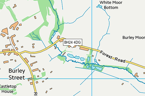 BH24 4DG map - OS VectorMap District (Ordnance Survey) BH24 4DG map - OS VectorMap District (Ordnance Survey)