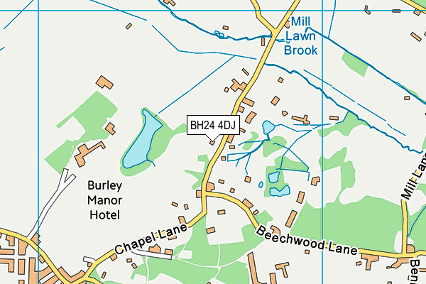BH24 4DJ map - OS VectorMap District (Ordnance Survey) BH24 4DJ map - OS VectorMap District (Ordnance Survey)