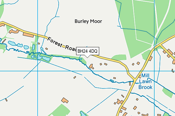 BH24 4DQ map - OS VectorMap District (Ordnance Survey) BH24 4DQ map - OS VectorMap District (Ordnance Survey)