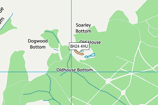 BH24 4HU map - OS VectorMap District (Ordnance Survey) BH24 4HU map - OS VectorMap District (Ordnance Survey)