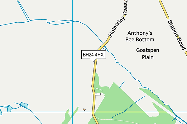 BH24 4HX map - OS VectorMap District (Ordnance Survey) BH24 4HX map - OS VectorMap District (Ordnance Survey)