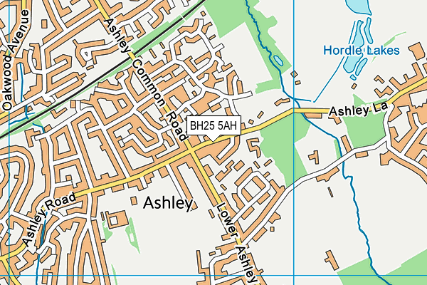 BH25 5AH map - OS VectorMap District (Ordnance Survey) BH25 5AH map - OS VectorMap District (Ordnance Survey)