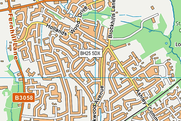 BH25 5DX map - OS VectorMap District (Ordnance Survey) BH25 5DX map - OS VectorMap District (Ordnance Survey)