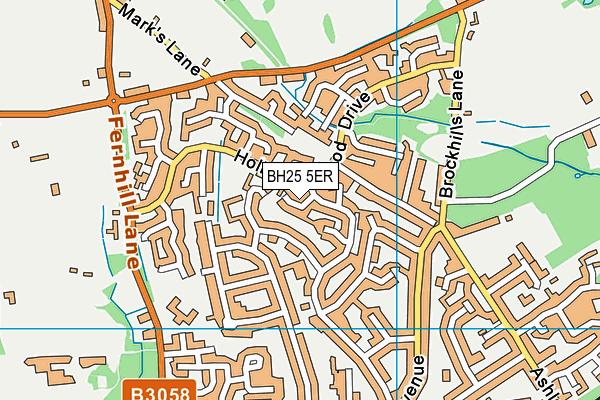 BH25 5ER map - OS VectorMap District (Ordnance Survey) BH25 5ER map - OS VectorMap District (Ordnance Survey)