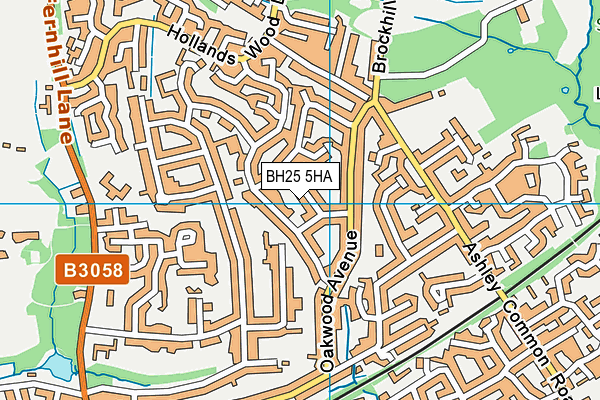 BH25 5HA map - OS VectorMap District (Ordnance Survey) BH25 5HA map - OS VectorMap District (Ordnance Survey)