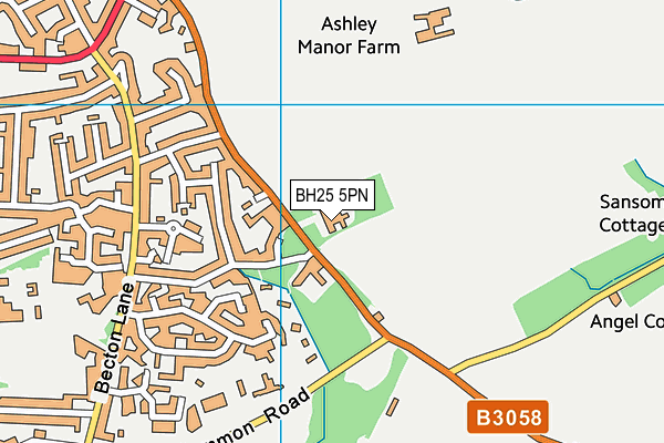 BH25 5PN map - OS VectorMap District (Ordnance Survey) BH25 5PN map - OS VectorMap District (Ordnance Survey)