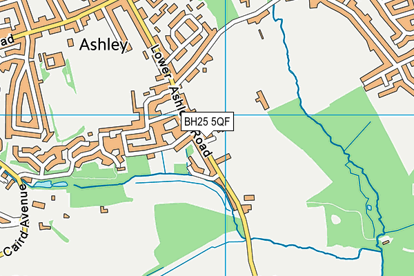 BH25 5QF map - OS VectorMap District (Ordnance Survey) BH25 5QF map - OS VectorMap District (Ordnance Survey)