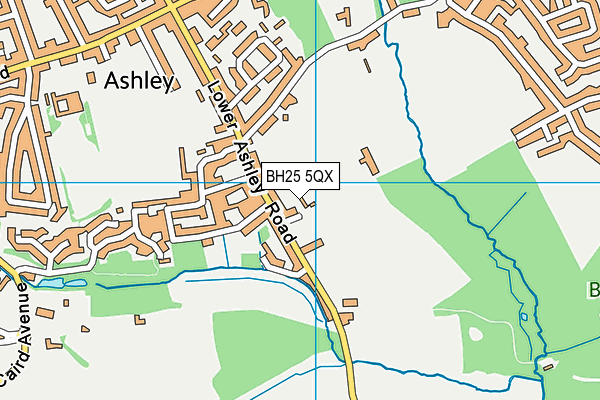 BH25 5QX map - OS VectorMap District (Ordnance Survey) BH25 5QX map - OS VectorMap District (Ordnance Survey)