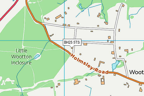 BH25 5TS map - OS VectorMap District (Ordnance Survey) BH25 5TS map - OS VectorMap District (Ordnance Survey)