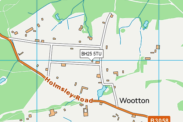 BH25 5TU map - OS VectorMap District (Ordnance Survey) BH25 5TU map - OS VectorMap District (Ordnance Survey)