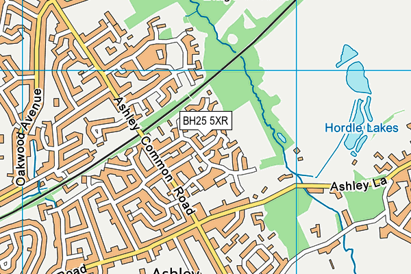 BH25 5XR map - OS VectorMap District (Ordnance Survey) BH25 5XR map - OS VectorMap District (Ordnance Survey)