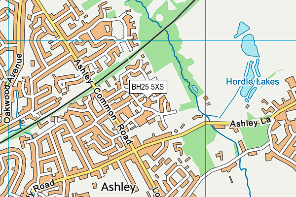 BH25 5XS map - OS VectorMap District (Ordnance Survey) BH25 5XS map - OS VectorMap District (Ordnance Survey)