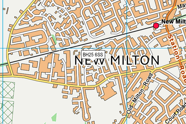 BH25 6SS map - OS VectorMap District (Ordnance Survey) BH25 6SS map - OS VectorMap District (Ordnance Survey)