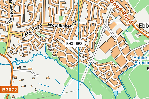 BH31 6BS map - OS VectorMap District (Ordnance Survey) BH31 6BS map - OS VectorMap District (Ordnance Survey)