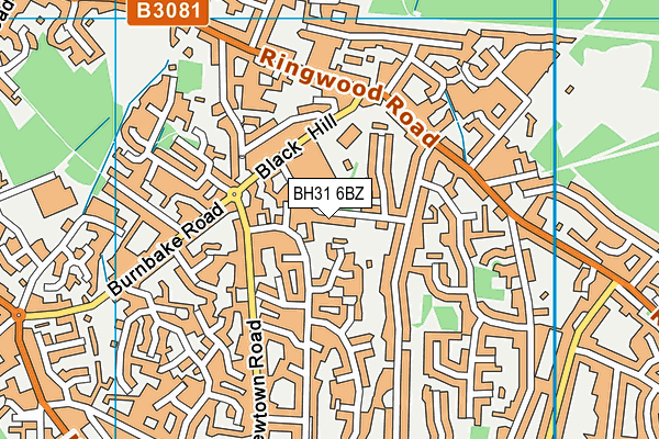 BH31 6BZ map - OS VectorMap District (Ordnance Survey) BH31 6BZ map - OS VectorMap District (Ordnance Survey)
