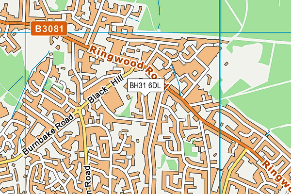 BH31 6DL map - OS VectorMap District (Ordnance Survey) BH31 6DL map - OS VectorMap District (Ordnance Survey)
