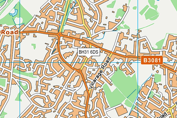 BH31 6DS map - OS VectorMap District (Ordnance Survey) BH31 6DS map - OS VectorMap District (Ordnance Survey)