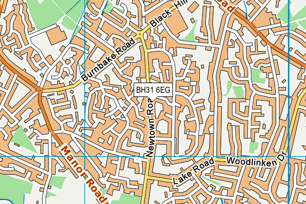 BH31 6EG map - OS VectorMap District (Ordnance Survey) BH31 6EG map - OS VectorMap District (Ordnance Survey)