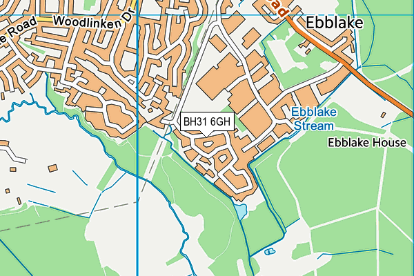 BH31 6GH map - OS VectorMap District (Ordnance Survey) BH31 6GH map - OS VectorMap District (Ordnance Survey)