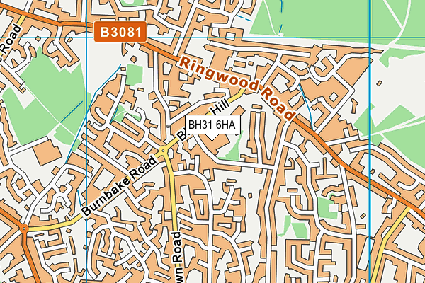 BH31 6HA map - OS VectorMap District (Ordnance Survey) BH31 6HA map - OS VectorMap District (Ordnance Survey)