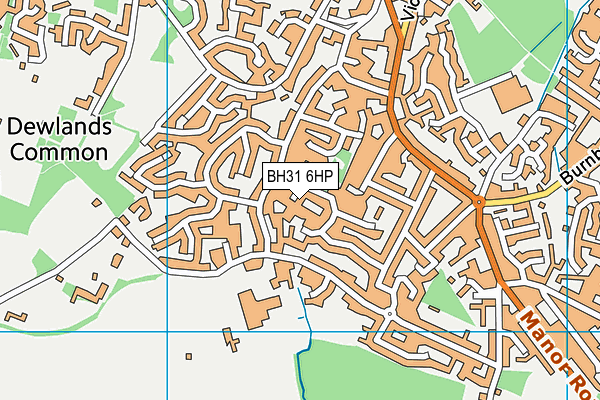 BH31 6HP map - OS VectorMap District (Ordnance Survey) BH31 6HP map - OS VectorMap District (Ordnance Survey)