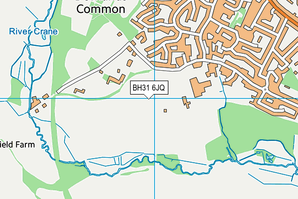 BH31 6JQ map - OS VectorMap District (Ordnance Survey) BH31 6JQ map - OS VectorMap District (Ordnance Survey)