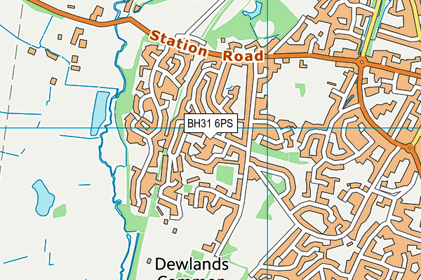 BH31 6PS map - OS VectorMap District (Ordnance Survey) BH31 6PS map - OS VectorMap District (Ordnance Survey)