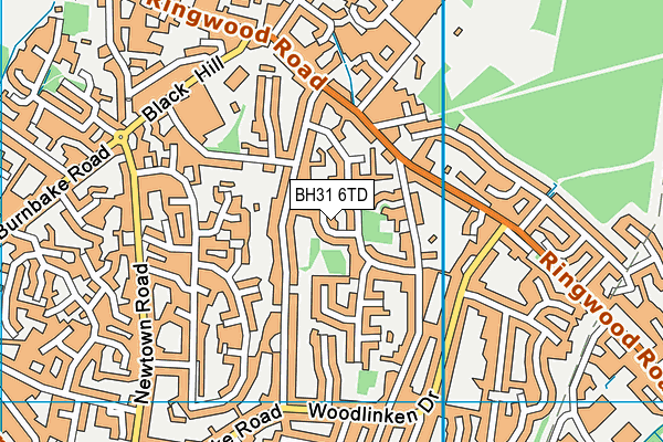 BH31 6TD map - OS VectorMap District (Ordnance Survey)