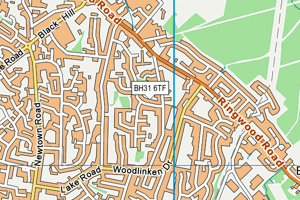 BH31 6TF map - OS VectorMap District (Ordnance Survey) BH31 6TF map - OS VectorMap District (Ordnance Survey)