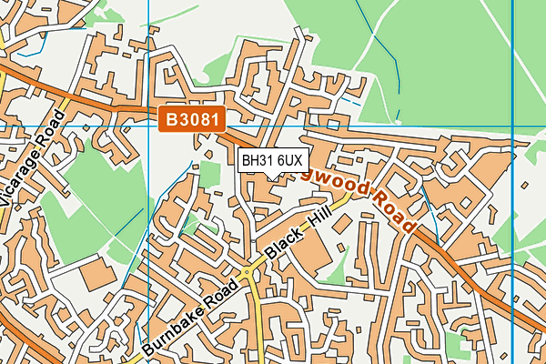 BH31 6UX map - OS VectorMap District (Ordnance Survey) BH31 6UX map - OS VectorMap District (Ordnance Survey)
