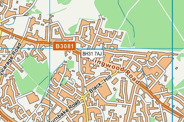 BH31 7AJ map - OS VectorMap District (Ordnance Survey) BH31 7AJ map - OS VectorMap District (Ordnance Survey)