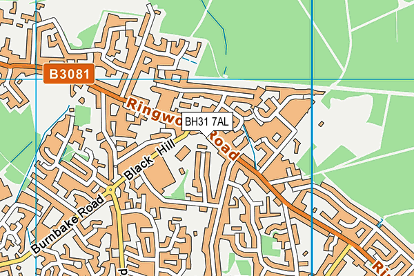 BH31 7AL map - OS VectorMap District (Ordnance Survey) BH31 7AL map - OS VectorMap District (Ordnance Survey)