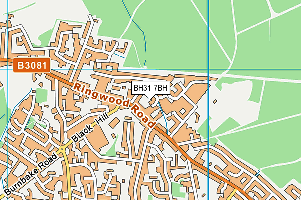 BH31 7BH map - OS VectorMap District (Ordnance Survey) BH31 7BH map - OS VectorMap District (Ordnance Survey)