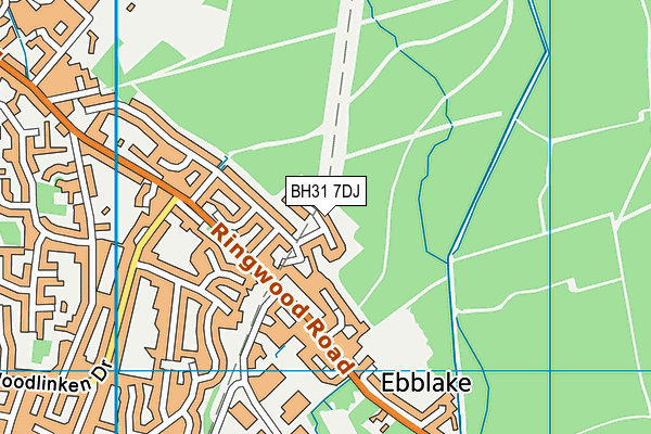BH31 7DJ map - OS VectorMap District (Ordnance Survey) BH31 7DJ map - OS VectorMap District (Ordnance Survey)